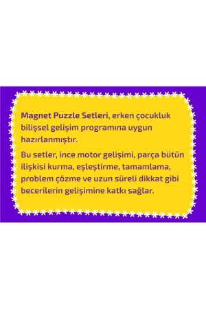 Magnet Puzzle Dikkat Geliştiren Zeka Oyunu - 6