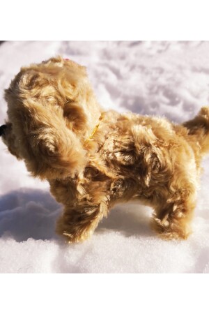 Milchkaffee gehender bellender niedlicher batteriebetriebener Plüschhund F355 - 6