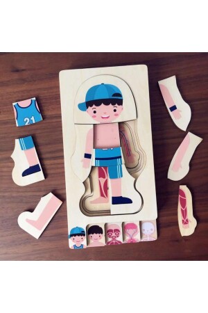 Montessori Waldorf Lernpuzzle aus Holz zur Anatomie des männlichen menschlichen Körpers ankbtmns01 - 9