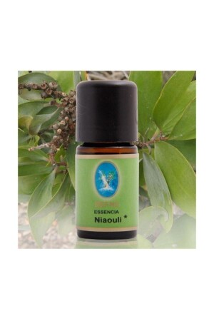 Nuka Bio-Niaouliöl 10 ml. - 3