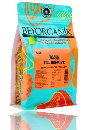 Organik Tel Şehriye Ispanaklı Pancarlı Balkabaklı 200gr - 2