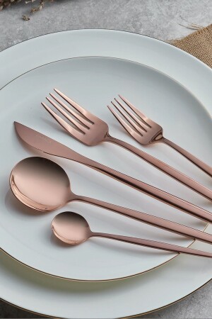 Orion Rosegold 30-teiliges Gabel-Löffel-Messer-Set für 6 Personen 153. 03. 08. 1910-1 - 1