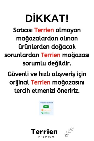 Özel Seri Yeşil Renk Hoşgeldin Ya Şehr-i Ramazan 100 Adet Kağıt Peçete Kaliteli İftar Bayram Şık - 4