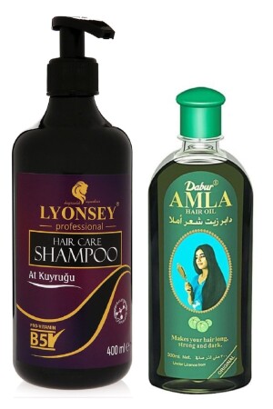 Pferdeschwanz-Shampoo, 400 ml, Dabur Amla Haarpflegeöl, 200 ml, ovale Haarbürste, Geschenk - 3