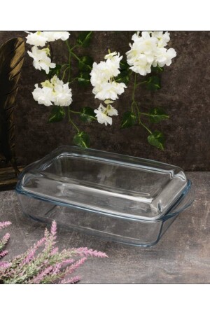 Pyrex-Ofenform mit rechteckigem Glasdeckel Fma06255 2019ST000049 - 5