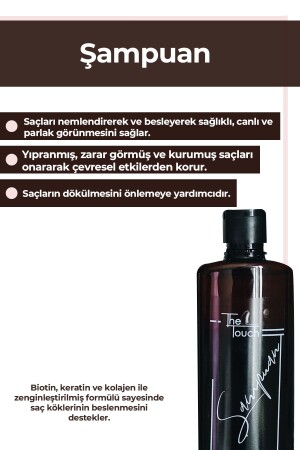 Shampoo S261022H - 3