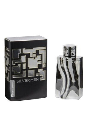 Silver Men Georges Mezotti EDT 100 ml Erkek Parfüm - 2