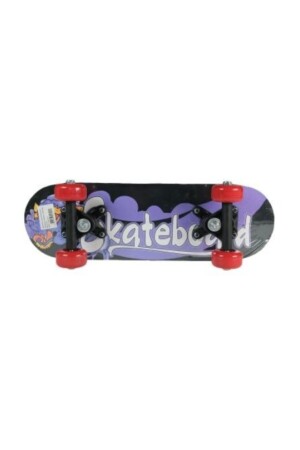 Skateboard Kleine Größe 43 cm Gemustertes Skateboard Aktivitätsspielzeug für Kinder 4 Räder Skateboard Original PRA-5522720-9301 - 5