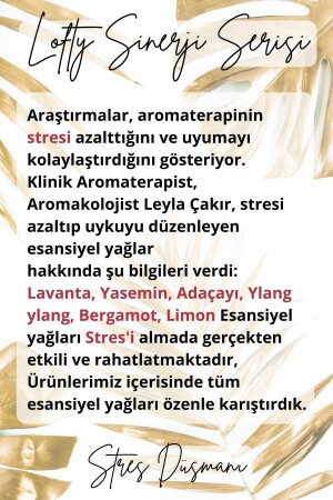 Stres Düşmanı Sinerji Karışım Esansiyel Uçucu Yağ Buhurdanlık Yağı Aromaterapi Difüzör - 5