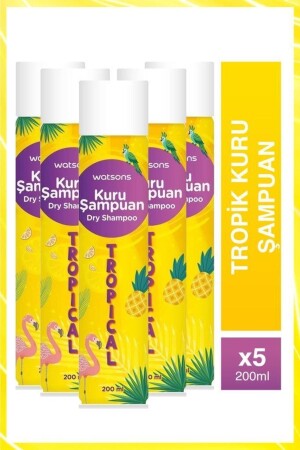 Tropisches Trockenshampoo 200 ml 5 Stück - 2