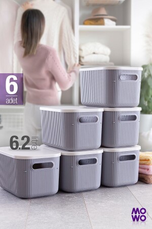 Trove 6 Stück 6. 2 Lt (grau) Organizer-Box mit Deckel, dekorative Aufbewahrungsbox MOWO-01-331-6 - 3