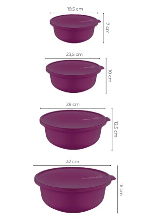 Tupy Schüssel mit Deckel, 4er-Set, Aufbewahrungsbehälter, BPA-frei, TYC00251061934 - 4