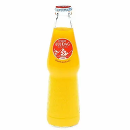 ULUDAG PORTAKAL GAZOZ 250 ML - 1