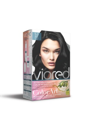 Viored Color Art 1. 0 schwarze Haarfarbe - 1