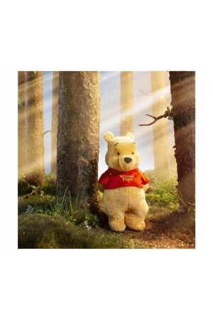 Winnie The Pooh Ayı Winnie Lisanslı Oyuncak Peluş 35 Cm SUN-PDP1100043 - 6